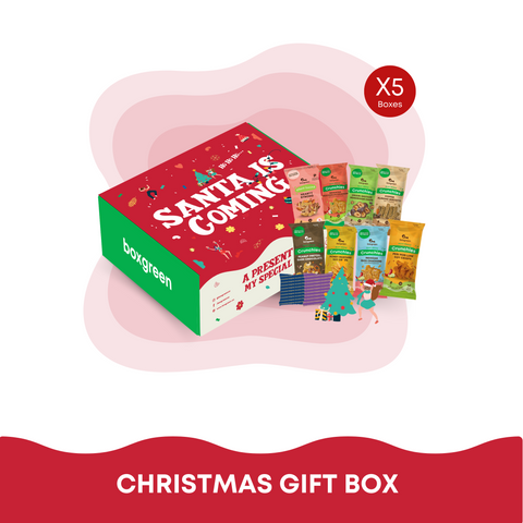 [Bundle of 5] Christmas Gift Box